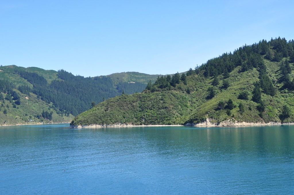 The ferry from Wellington to Picton (north to south islands) is a beautiful trip, especially in sunshine!